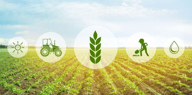 BANDI – È aperto il bando per l’avvio di imprese gestite da giovani agricoltori