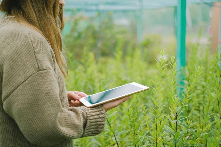 Formazione Superiore per la gestione innovativa di imprese agricole