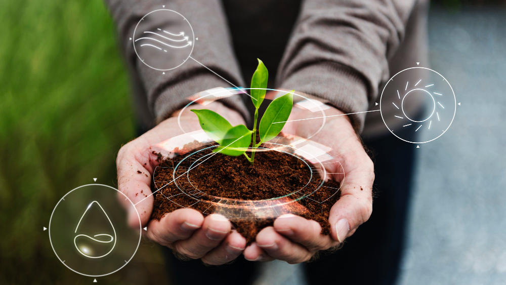 Manager innovativi nell’agricoltura che usano l’intelligenza artificiale per migliorare le colture