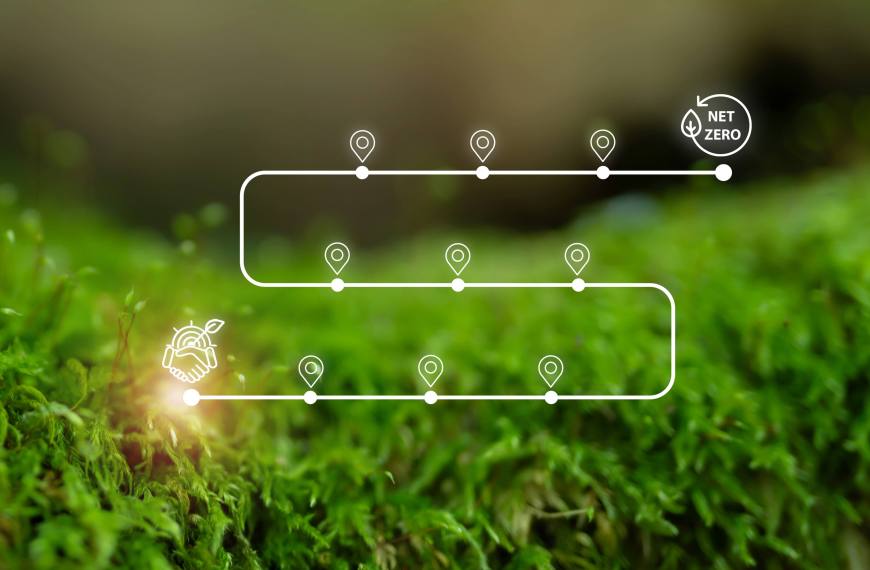 competenze green aziende transizione ecologica