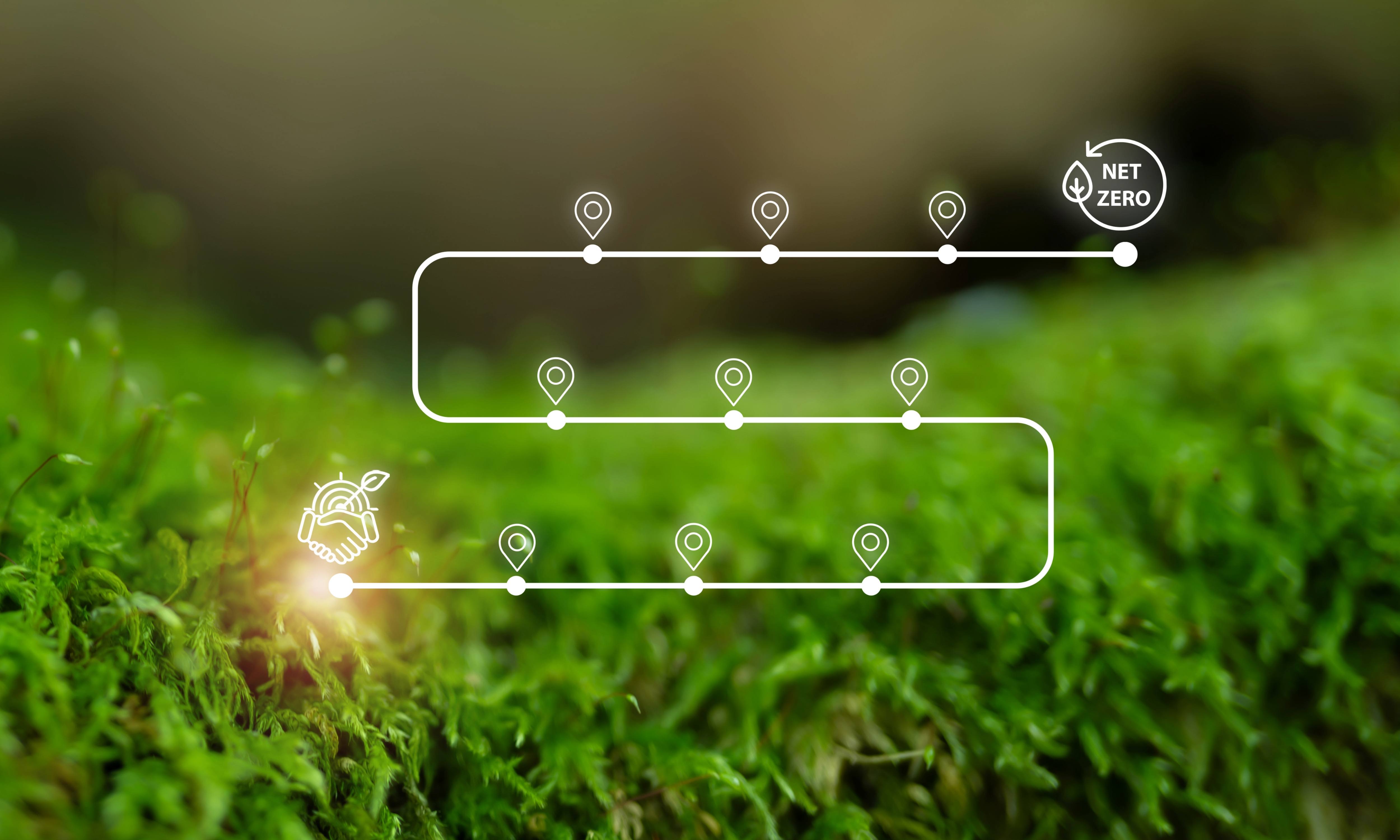 competenze green aziende transizione ecologica