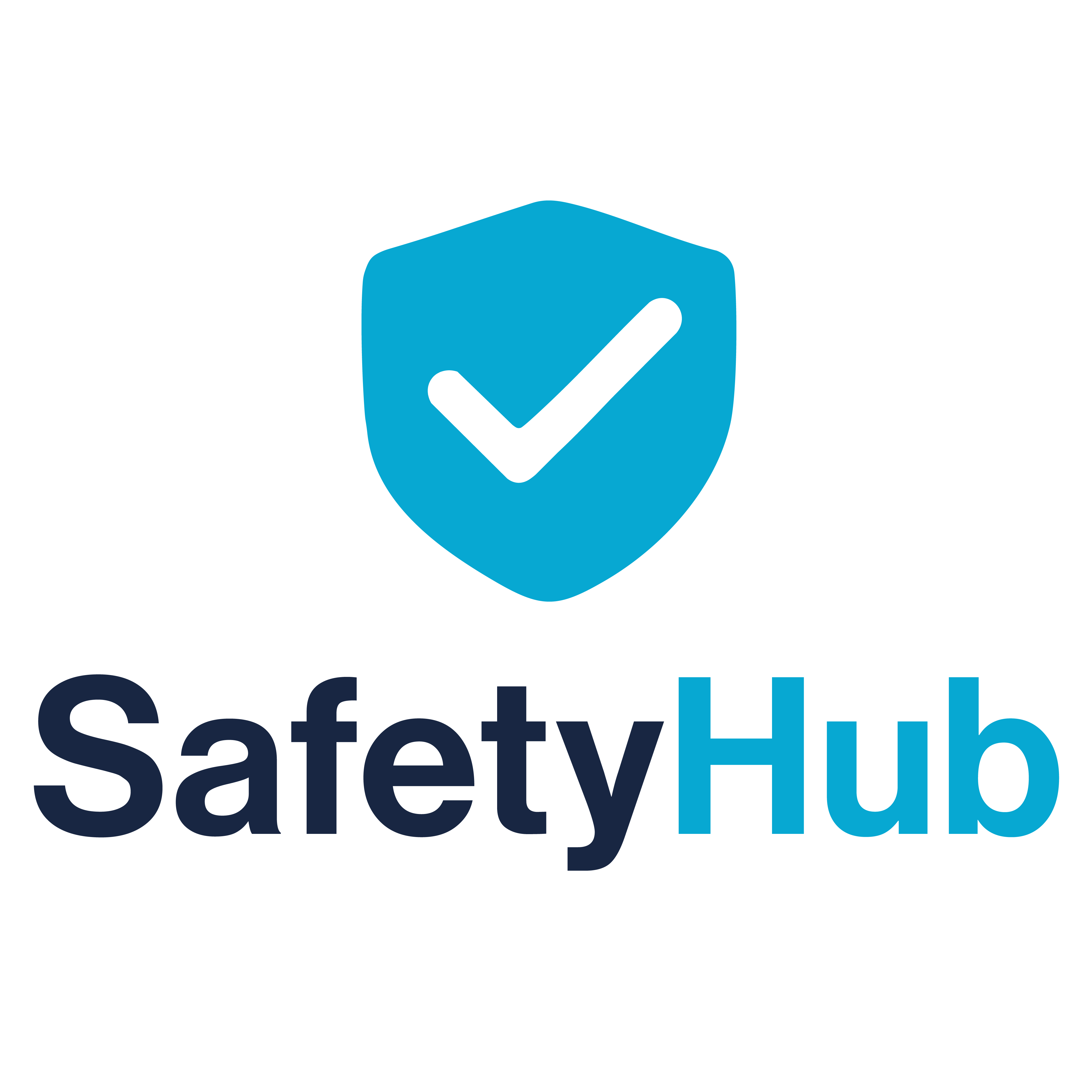 Logo Safety and Health - Servizi di Sicurezza e Salute nei Luoghi di Lavoro - Sicurform Italia